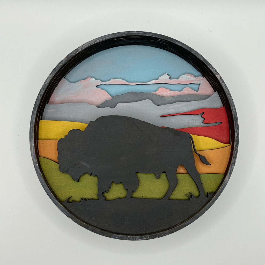 Bison Kit Shadow Box Kit