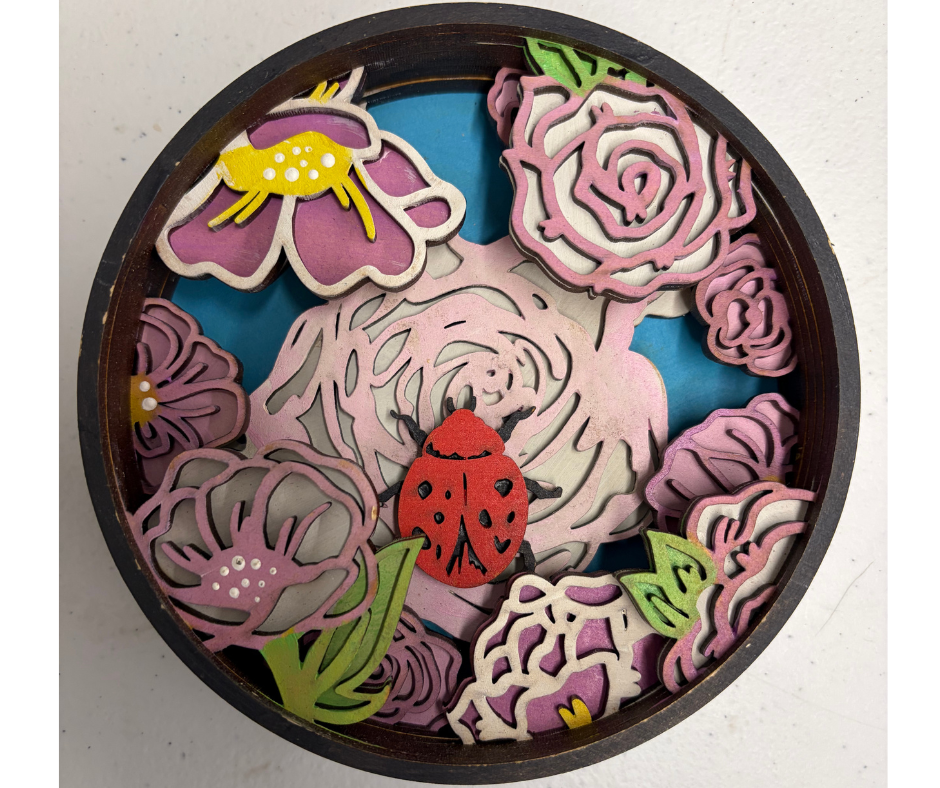 Sweet Ladybug Shadow Box Kit