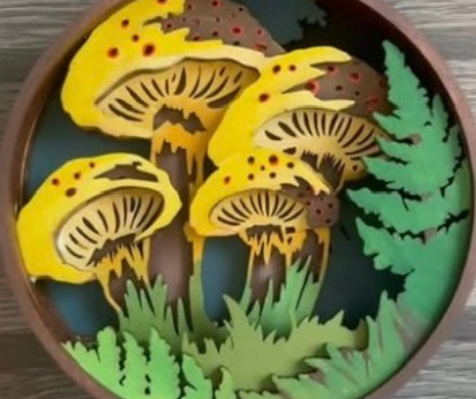 Fungi Shadow Box Kit
